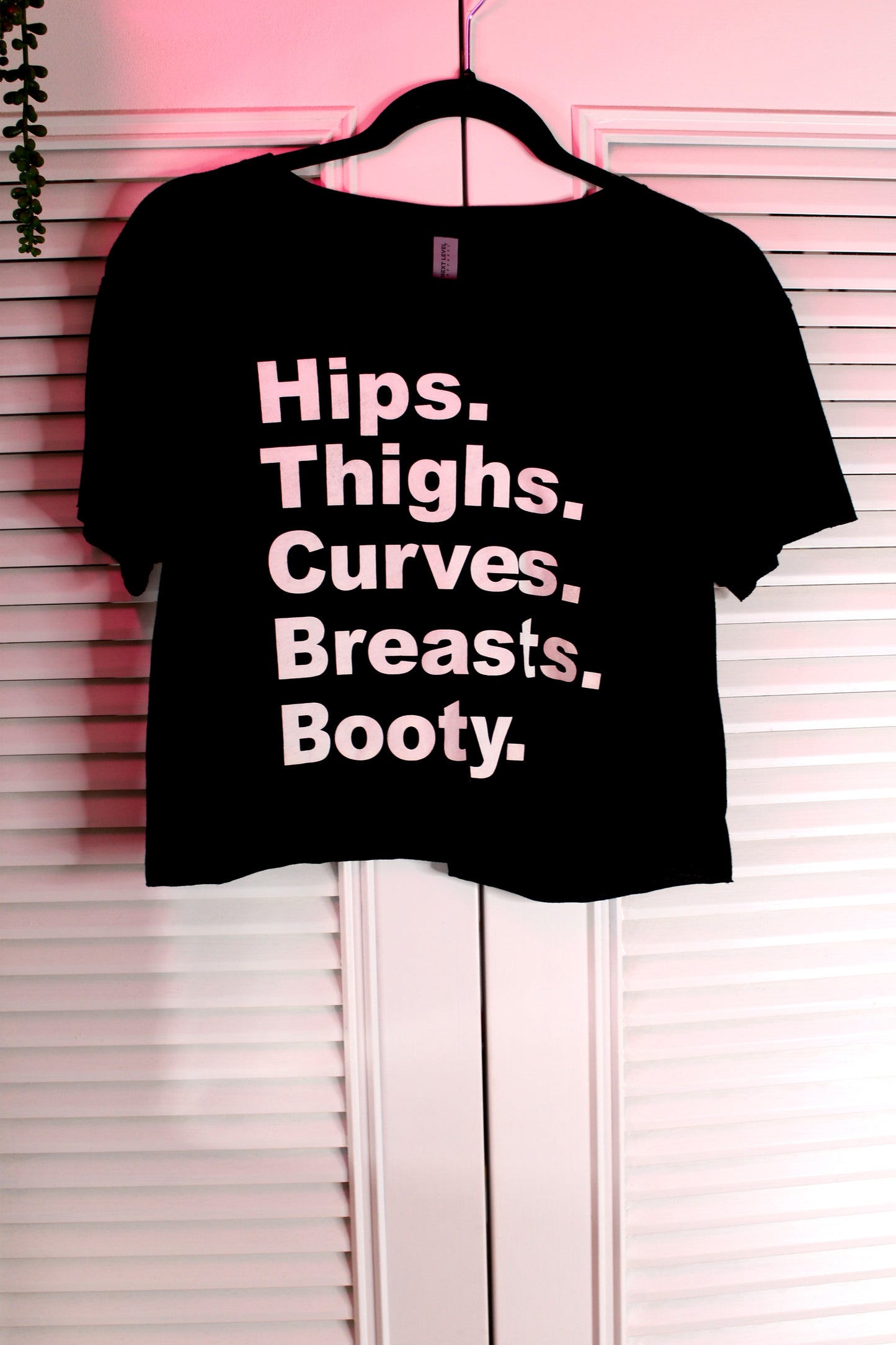 $10 T-Shirt Sale "Hips Thighs Curves Breasts Booty"